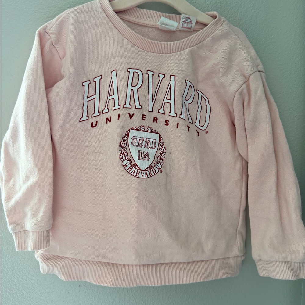 H&M Kids Light Pink Harvard Sweatshirt